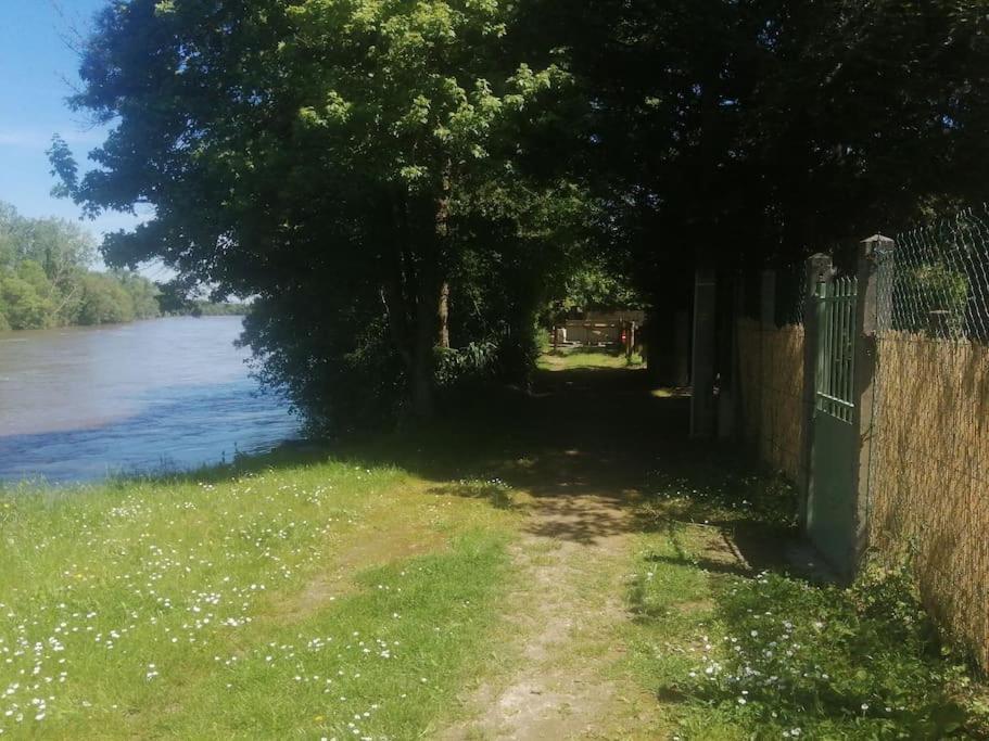 Maison " Bouton D'Or" Au Bord De L'Eau, A 10 Mn De Tours , Meuble Classe Une Etoile Saint-Avertin Eksteriør bilde