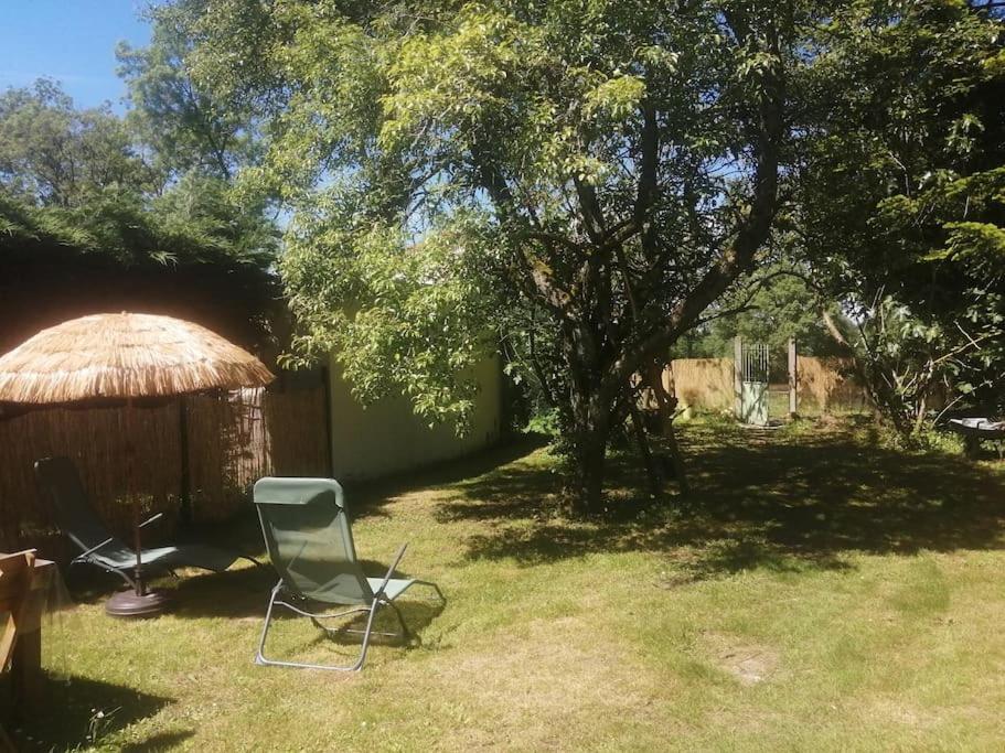 Maison " Bouton D'Or" Au Bord De L'Eau, A 10 Mn De Tours , Meuble Classe Une Etoile Saint-Avertin Eksteriør bilde